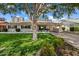 Charming single-story home featuring a well-maintained lawn, mature trees, and a covered carport at 2436 E Elm St, Phoenix, AZ 85016