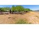 Backyard featuring a mix of dry grass and green patches, some chairs, and greenery along the fenceline at 330 W Minnezona Ave, Phoenix, AZ 85013