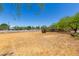 Spacious backyard showing dry grass, chainlink fence, and sparse vegetation, ideal for outdoor activities at 330 W Minnezona Ave, Phoenix, AZ 85013