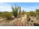 Backyard featuring desert landscaping with cacti and gravel pathway at 39606 N 3Rd Ave, Phoenix, AZ 85086
