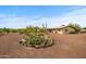 Home with desert landscape, circular gravel driveway, and brick facade at 39606 N 3Rd Ave, Phoenix, AZ 85086