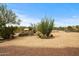 This property features a xeriscaped yard with native plants and gravel at 39606 N 3Rd Ave, Phoenix, AZ 85086