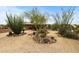 This property features a xeriscaped yard with native plants, cacti and gravel at 39606 N 3Rd Ave, Phoenix, AZ 85086
