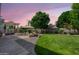 Lush backyard with a well-maintained lawn, mature trees, and a shaded patio area at 4340 S Marble St, Gilbert, AZ 85297