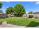 Serene backyard with mature trees, green lawn, and well-designed landscaping features at 4340 S Marble St, Gilbert, AZ 85297