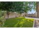 Expansive backyard boasts artificial grass, mature trees, and a concrete patio, creating a private outdoor retreat at 4809 W Erie St, Chandler, AZ 85226