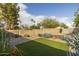 Desert backyard with artificial turf, mature trees, cacti, gravel and block fence at 5206 S Clark Dr, Tempe, AZ 85283
