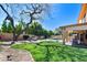 Lush backyard with green lawn, pool, desert landscaping, mature tree, and a covered patio for outdoor enjoyment at 5513 E Grovers Ave, Scottsdale, AZ 85254