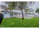 Expansive backyard features green grass, a mature tree, and a sparkling pool for outdoor enjoyment at 711 N 22Nd St, Mesa, AZ 85213