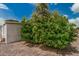 The backyard is adorned with lush greenery, offering privacy and charm, enhancing the outdoor ambiance at 8323 E Deep Canyon Ct, Mesa, AZ 85208