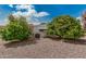Landscaped backyard with mature trees, adding character and shade to the property's exterior at 8323 E Deep Canyon Ct, Mesa, AZ 85208
