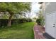 Green backyard featuring mature trees, grass, and foliage at 9015 E Altadena Ave, Scottsdale, AZ 85260