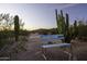 Backyard with a bench, mature cacti and lush desert vegetation at 9690 W Martin Rd, Casa Grande, AZ 85194