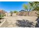 Expansive backyard featuring minimal desert landscaping and mature trees at 11988 W Nadine Way, Peoria, AZ 85383