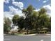Landscaped community park showcasing mature trees, green grass, and pleasant surroundings at 1314 W Kingbird Dr, Chandler, AZ 85286