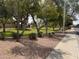 A community park with well-maintained grassy areas, trees, and low-lying shrubbery at 1314 W Kingbird Dr, Chandler, AZ 85286