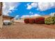 Large backyard with decorative rock and colorful flowering bushes at 1414 W Grovers Ave, Phoenix, AZ 85023