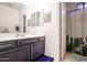 Updated bathroom features single sink, cactus artwork, cactus shower curtain, and purple bathmat at 14733 N 159Th Dr, Surprise, AZ 85379
