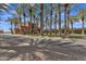 Community entrance showcases beautiful palm trees leading to the home at 1556 E Vesper Trl, Queen Creek, AZ 85140