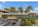 Outdoor community pool area, with lounge seating and palm trees at 1556 E Vesper Trl, Queen Creek, AZ 85140