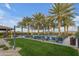 Community pool deck featuring lounge chairs, umbrellas, and towering palm trees at 1556 E Vesper Trl, Queen Creek, AZ 85140