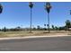 Street view of property featuring green space, mature palm trees, and a mountain backdrop at 3033 E Devonshire Ave # 3003, Phoenix, AZ 85016