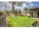 Manicured backyard with healthy green lawn, mature shade trees and privacy fence at 4602 N 74Th Pl, Scottsdale, AZ 85251