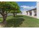 Spacious backyard with mature trees, lush green lawn, and a covered patio for outdoor relaxation at 4617 E Elmwood Cir, Mesa, AZ 85205