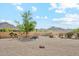 Fenced backyard featuring gravel landscaping and desert scenery, providing a private outdoor space at 5523 W Creekside Ln, San Tan Valley, AZ 85144