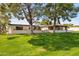Spacious backyard with lush green grass, mature trees offering shade, and an extended patio for outdoor enjoyment at 6122 E Harvard St, Scottsdale, AZ 85257