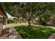Backyard featuring a mature shade tree, artificial turf, and a pergola in the distance at 1777 W Redfield Rd, Gilbert, AZ 85233