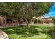Spacious backyard featuring artificial turf, mature tree, dining table and a pergola in the distance at 1777 W Redfield Rd, Gilbert, AZ 85233