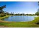 Scenic pond view surrounded by lush green grass and palm trees under a clear blue sky at 1777 W Redfield Rd, Gilbert, AZ 85233