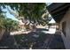 Well-maintained backyard with mature trees, landscaping, and a covered patio at 4718 W El Caminito Dr, Glendale, AZ 85302