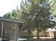 View of spacious backyard featuring mature tree and block fence offering privacy at 4718 W El Caminito Dr, Glendale, AZ 85302