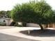 Home's front exterior featuring a well-manicured yard, large tree, and attached two-car garage at 4718 W El Caminito Dr, Glendale, AZ 85302