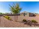 Landscaped backyard featuring desert landscaping, mature trees, with a covered patio, perfect for outdoor living and entertaining at 17971 W Meadowbrook Ave, Goodyear, AZ 85395