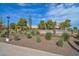 Beautifully landscaped park area with mature trees, vibrant flowers, and manicured shrubbery at 18610 N Mica Dr, Sun City West, AZ 85375