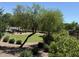 Manicured green area with mature trees, shrubs, and walking paths in the lovely community at 19203 S 185Th Dr, Queen Creek, AZ 85142