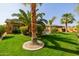 Expansive backyard featuring a well-manicured lawn, mature palm trees, and landscape lighting, perfect for outdoor activities at 2361 N 156Th Dr, Goodyear, AZ 85395