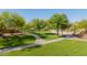 Picturesque park with winding paths, lush green lawns, and mature trees offering shade and a serene environment at 2361 N 156Th Dr, Goodyear, AZ 85395