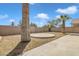 Spacious backyard featuring mature trees, a concrete patio, and block wall fencing at 2859 E Cathy Dr, Gilbert, AZ 85296
