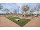 Bocce ball court with artificial turf and seating, set within a beautifully landscaped community area at 37185 N Falabella Dr, San Tan Valley, AZ 85140