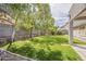 Backyard featuring lush green grass, mature trees, and a serene outdoor space at 4215 S Marisol Ln, Gilbert, AZ 85297