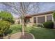 Spacious backyard featuring a built-in grill, dining area, and mature trees for shade and privacy at 4497 E Ficus Way, Gilbert, AZ 85298