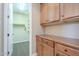 Walk-in closet features built-in shelving and carpeted floor at 4497 E Ficus Way, Gilbert, AZ 85298