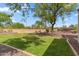 Large, well-maintained backyard with lush green grass and mature trees provides shade and privacy at 5042 W Lariat Ln, Phoenix, AZ 85083