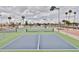 Well maintained pickleball court with lighting and palm tree landscape at 110 S 72Nd Way, Mesa, AZ 85208