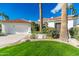 Inviting single-story home featuring lush landscaping, mature palm trees, and a convenient two-car garage at 11736 E Del Timbre Dr, Scottsdale, AZ 85259