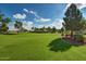 Expansive green space features lush grass, mature trees, and a walking path at 14239 W Port Royale Ln, Surprise, AZ 85379